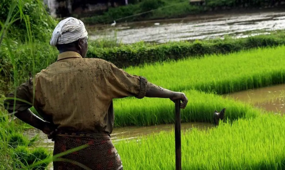 Farming